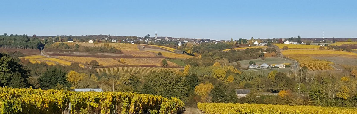 BEAULIEU SUR LAYON "Le Clos des Ecoliers"